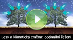 Lesy a klimatická změna: optimální řešení